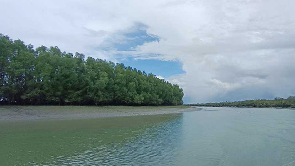 সুন্দরবনে ৩ মাসের জন্য পর্যটক প্রবেশে নিষেধাজ্ঞা জারি
