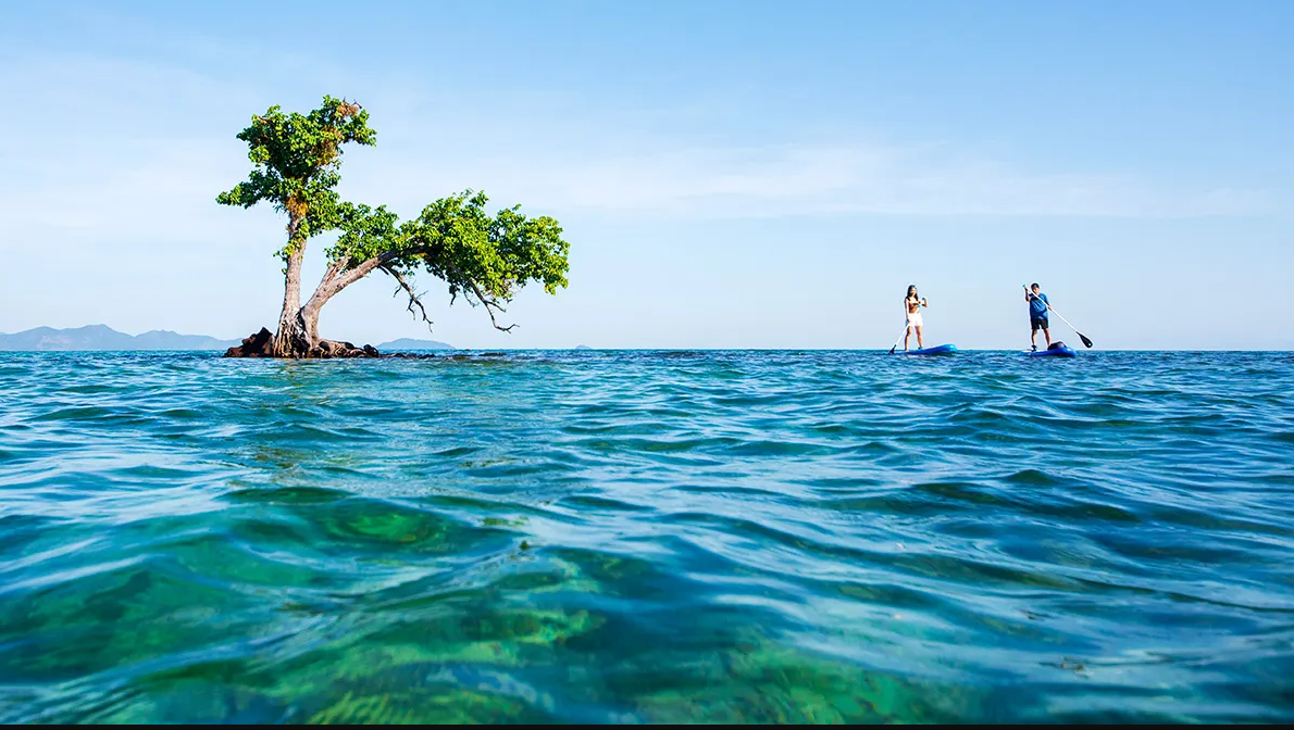 TAT starts “Laughing Island Conqueror vs Low-carbon Footprint Traveller” activity