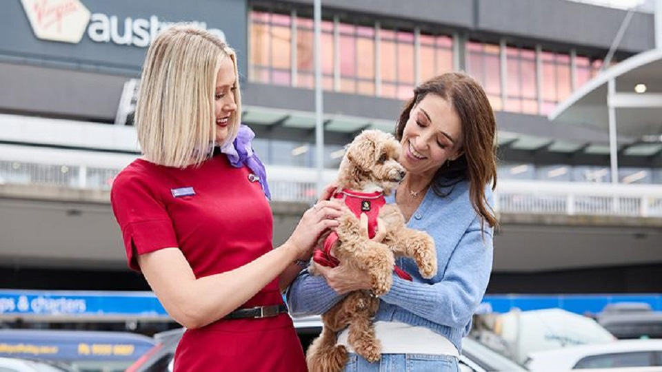 Virgin Australia welcomes pets in cabin on select flights