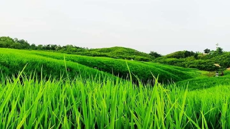 পাহাড়ে ছুটছে পর্যটক 