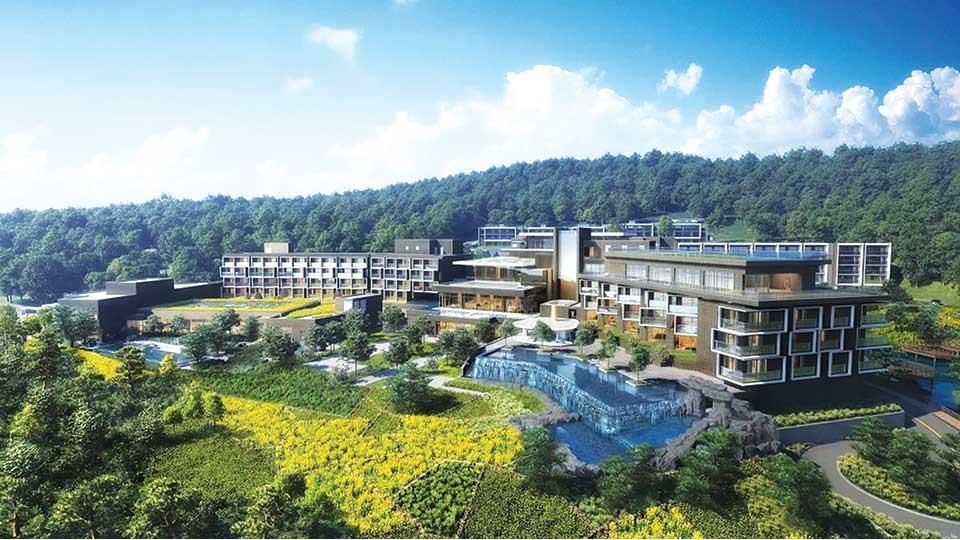 Forest wellness retreats : nature's new luxury