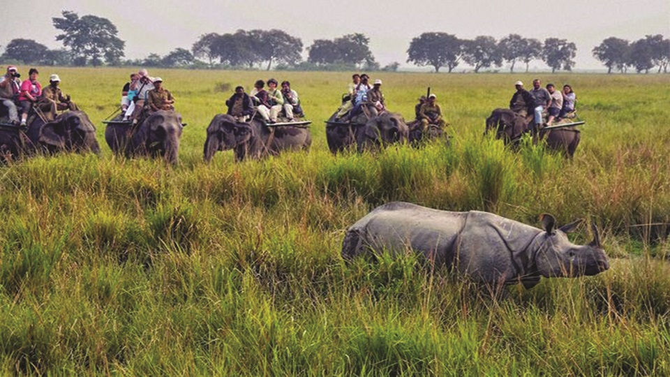BD tour operators visit India's reserve forests to promote Dooars tourism